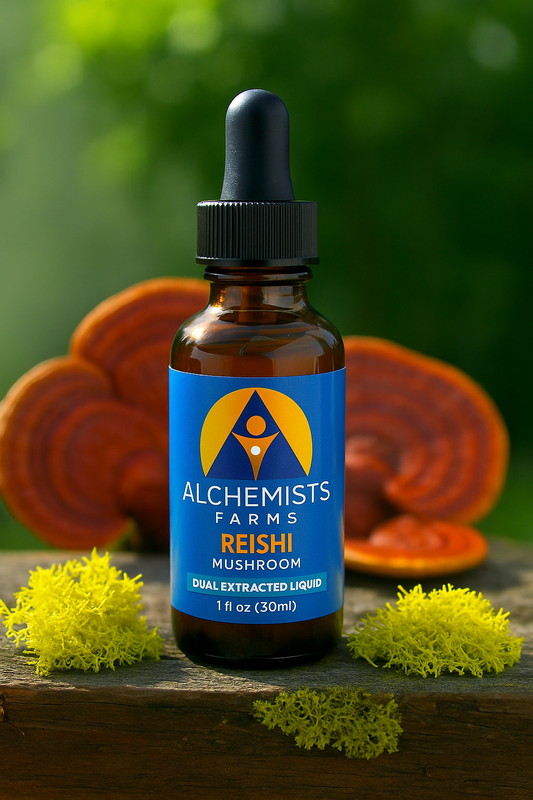 Reishi Mushroom Tincture