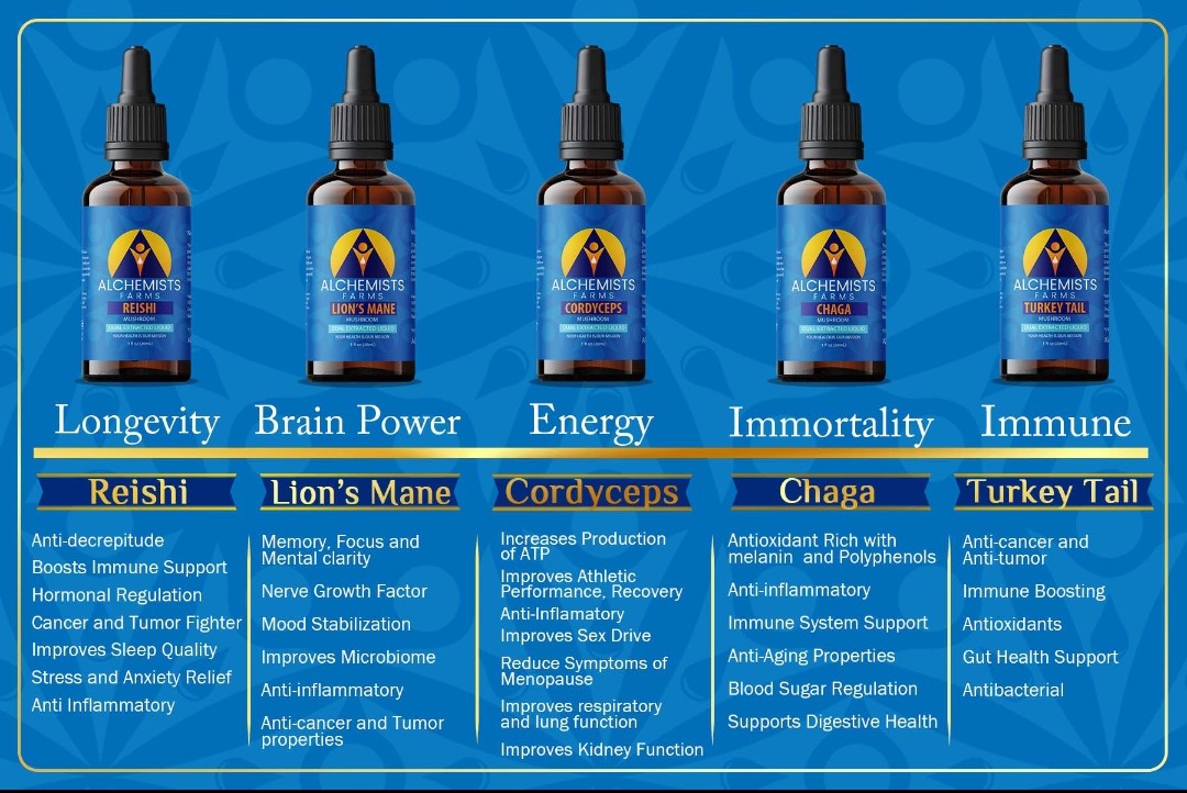 Lion’s Mane Mushroom Tincture