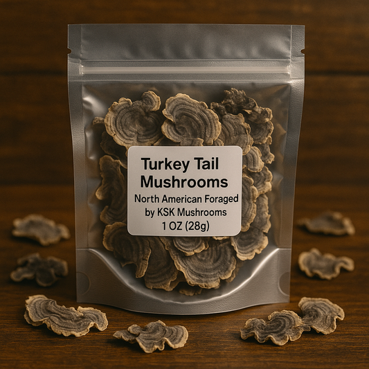 π‘οΈ πDried Turkey Tail Mushrooms (Trametes versicolor)