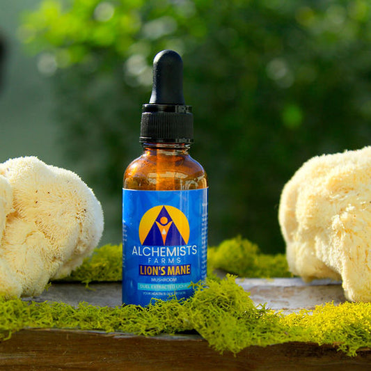 Lionβs Mane Mushroom Tincture