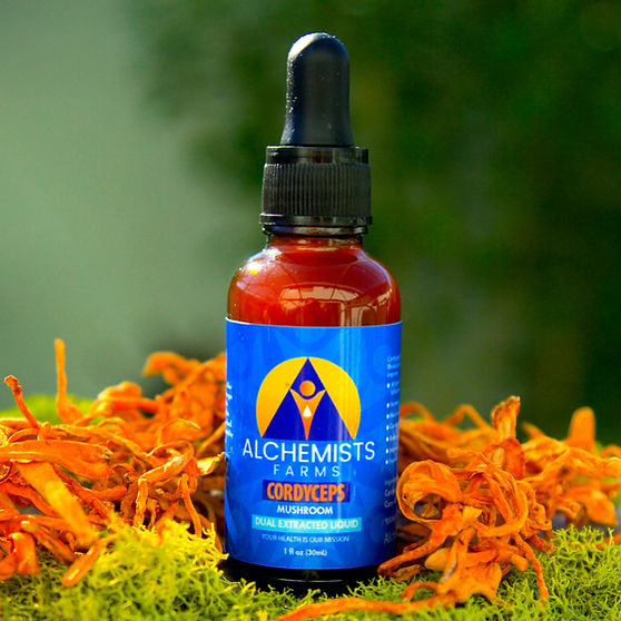 Cordyceps Mushroom Tincture