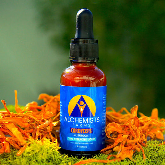 Cordyceps Mushroom Tincture
