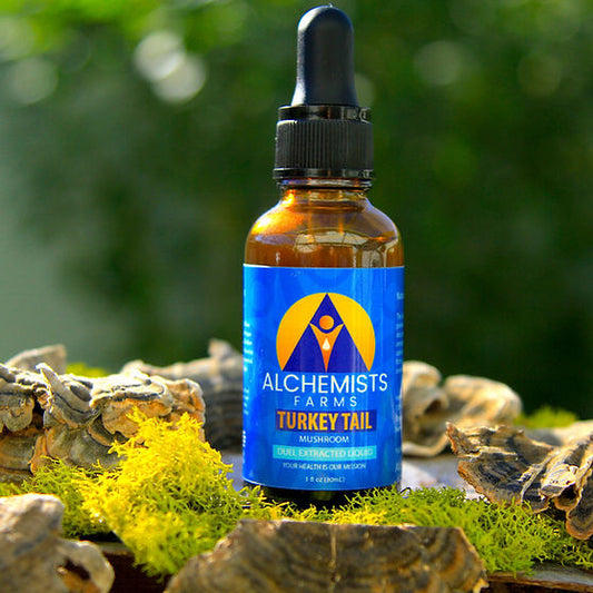 Turkey Tail Mushroom Tincture