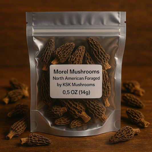 🍽️ 🍄Dried Morel Mushrooms (Morchella spp.)